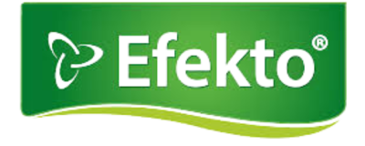 Efekto logo